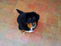 /album/fotogalerie-petiku/a182828-1469110822792-7191106-n-jpg2/