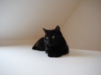 /album/fotogalerie-petiku/p1090573-jpg/