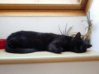 /album/fotogalerie-petiku/p1090651-jpg1/